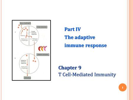 Part IV The adaptive immune response Chapter 9