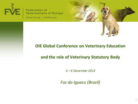 1 OIE Global Conference on Veterinary Education and the role of Veterinary Statutory Body 4 – 6 December 2013 Foz do Iguazu (Brazil)