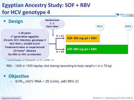 Egyptian Ancestry  Design  Objective –SVR 12 (HCV RNA < 25 IU/ml), with 95% CI SOF 400 mg qd + RBV Randomised 1 : 1 Open-label Egyptian Ancestry Study: