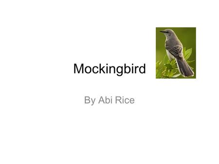 Mockingbird By Abi Rice.