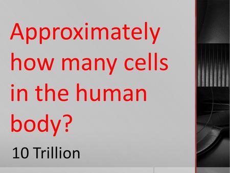 Approximately how many cells in the human body? 10 Trillion.