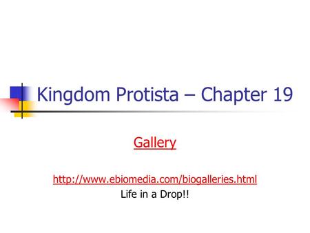 Kingdom Protista – Chapter 19 Gallery  Life in a Drop!!