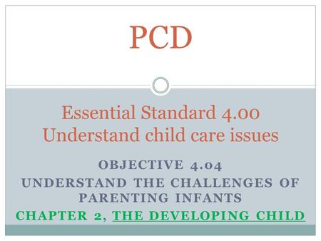 PCD Essential Standard 4.00 Understand child care issues