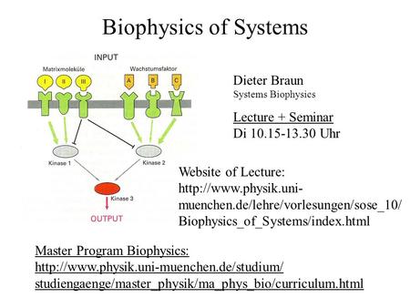 Biophysics of Systems Dieter Braun Systems Biophysics Master Program Biophysics:  studiengaenge/master_physik/ma_phys_bio/curriculum.html.