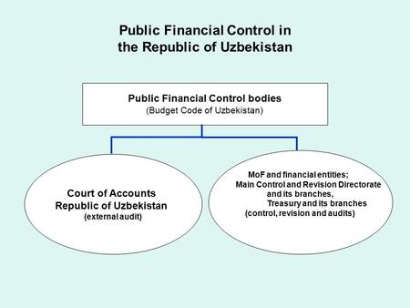 Public Financial Control in the Republic of Uzbekistan Public Financial Control bodies (Budget Code of Uzbekistan) Court of Accounts Republic of Uzbekistan.