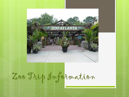 Zoo Trip Information Zoo Safety Rules  Stay with the chaperone at all times.  Follow any directions given by teachers, group leaders, chaperones, and.