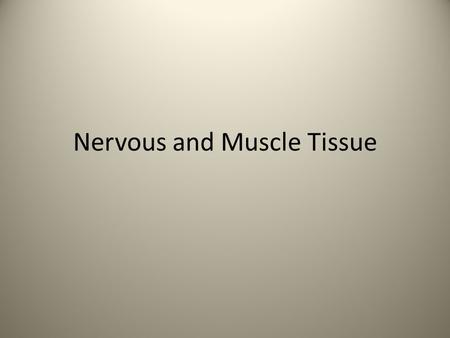 Nervous and Muscle Tissue. Nerve Tissue Nervous tissue is divided into two types: Neurons Supporting cells.