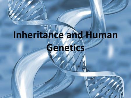 Inheritance and Human Genetics