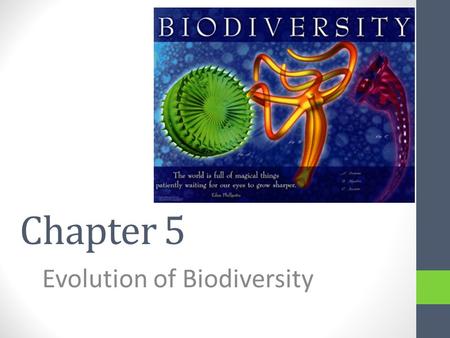 Chapter 5 Evolution of Biodiversity. What is biodiversity? Three different scales – all three contribute to the overall biodiversity of Earth 1.Ecosystem.