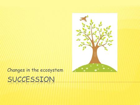 Changes in the ecosystem.  Changes occur all the time in an ecosystem. Trees die and new trees take their place. Young animals are born as the older.