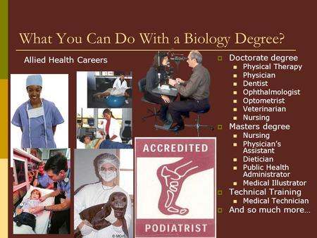 What You Can Do With a Biology Degree?  Doctorate degree Physical Therapy Physician Dentist Ophthalmologist Optometrist Veterinarian Nursing  Masters.