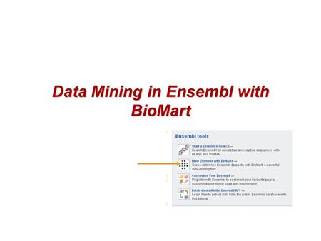 1 of 38 Data Mining in Ensembl with BioMart. 2 of 38 Simple Text-based Search Engine.