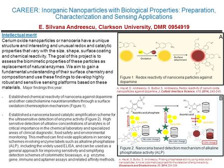 CAREER: Inorganic Nanoparticles with Biological Properties: Preparation, Characterization and Sensing Applications E. Silvana Andreescu, Clarkson University,