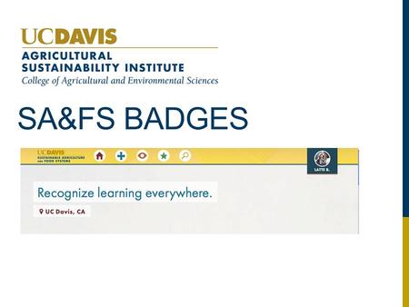 SA&FS BADGES. SKILLKNOWLEDGEHONOR EXPERIENCE COMPETENCE Strategic Management Systems Thinking Experimentation & Inquiry Interpersonal Communication Understanding.