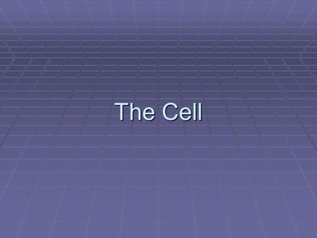 The Cell. Plant Cells Cell Wall  a thick, rigid membrane that surrounds a plant cell. This layer of cellulose fiber gives the cell most of its support.