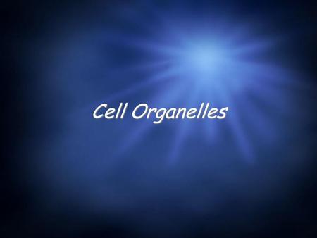 Cell Organelles. Animal Cells  The following slide are organelles typically found in the animal cells.