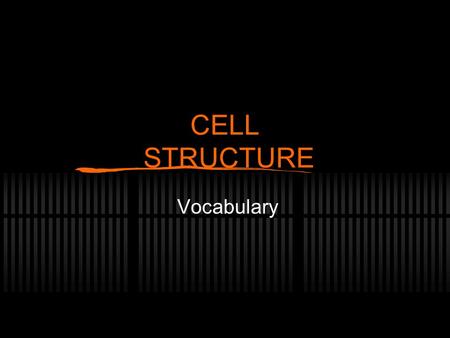 CELL STRUCTURE Vocabulary. Cell Theory All organisms are made of one or more cells. The cell is the basic unit of all living things. All cells come from.