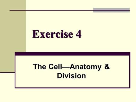 Exercise 4 The Cell—Anatomy & Division. What is a cell? Structural & functional unit of ALLLLLL living things Structural & functional unit of ALLLLLL.