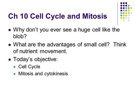 Ch 10 Cell Cycle and Mitosis Why don’t you ever see a huge cell like the blob? What are the advantages of small cell? Think of nutrient movement. Today’s.