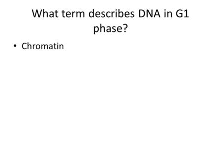 What term describes DNA in G1 phase? Chromatin. What happens to the DNA in S Phase? What is DNA called? Doubled, duplicated, copied Chromatin.