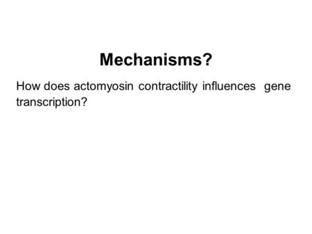Mechanisms? How does actomyosin contractility influences gene transcription?