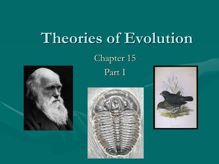 Theories of Evolution Chapter 15 Part I. Definition of Evolution: A heritable change in the characteristics within a population from one generation to.