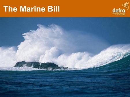 The Marine Bill. The Bill covers... Marine Management Organisation Marine planning Streamlined marine licensing Nature conservation Improved inshore fisheries.
