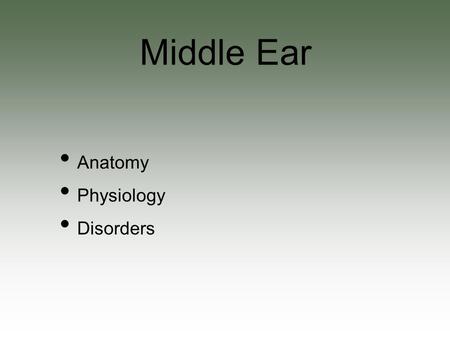 Anatomy Physiology Disorders Middle Ear. The big picture Eustachian tube Mastoid Tympanic cavity Ossicles Anatomy.