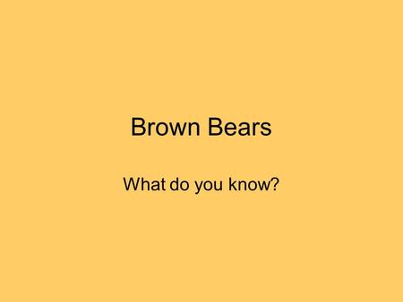Brown Bears What do you know?. Where do they prefer to live? IndoorsYESNOYESNO ForestYESNOYESNO ZooYESNOYESNO.