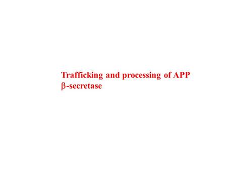 Trafficking and processing of APP  -secretase. Intracellular trafficking of APP: relation to its physiological function?