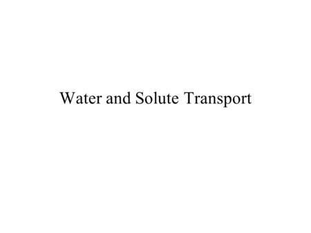 Water and Solute Transport. Homeostasis Requires Exchange of Materials Transportation of solutes in solution –Movement between external and internal environments.