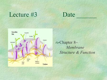 Lecture #3Date ______  Chapter 8~ Membrane Structure & Function.