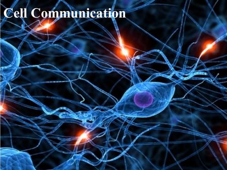 Cell Communication. Cellular Messaging Cell-to-cell communication is essential for both multicellular and unicellular organisms Biologists have discovered.