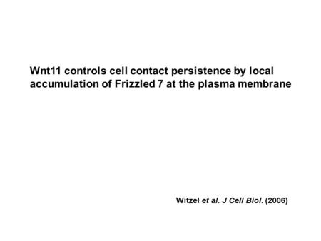 Witzel et al. J Cell Biol. (2006) Wnt11 controls cell contact persistence by local accumulation of Frizzled 7 at the plasma membrane.