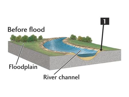 Levees Artificial levees prevent floods Usually made with fine-grained sediments that are easily eroded in floods Higher-quality levees mix coarse.