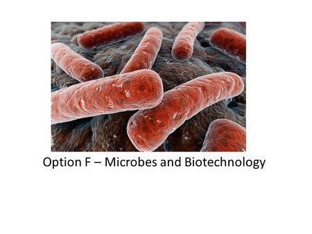 Option F – Microbes and Biotechnology. The three Domains of Life: Archaea Prokaryotes Eukaryotes This distinction was made using rRNA – Ribosomal RNA!