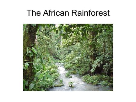 The African Rainforest. What is causing the rainforests of Africa to disappear? Road construction and slash-and-burn farming have wiped out 90% of West.
