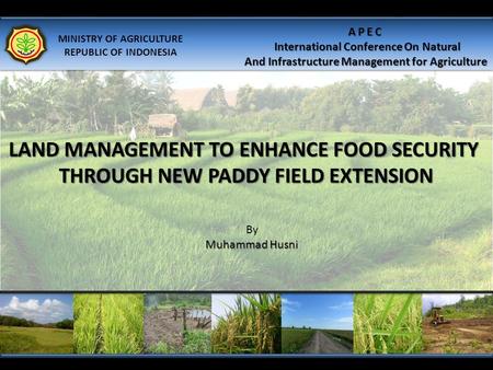 LAND MANAGEMENT TO ENHANCE FOOD SECURITY THROUGH NEW PADDY FIELD EXTENSION By Muhammad Husni MINISTRY OF AGRICULTURE REPUBLIC OF INDONESIA APEC International.