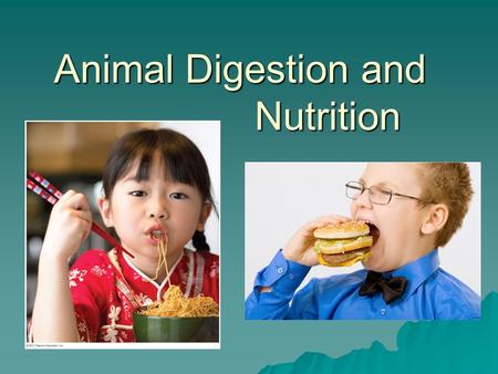 Animal Digestion and Nutrition. Nutritional Requirements  Undernourished –not enough calories  Overnourished –too many calories  Malnourished –missing.