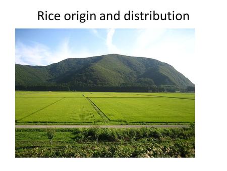 Rice origin and distribution. Word status Rice is the 2nd largest produced cereal in the world. rough rice production in 2008 -661.81millian mt. Rough.