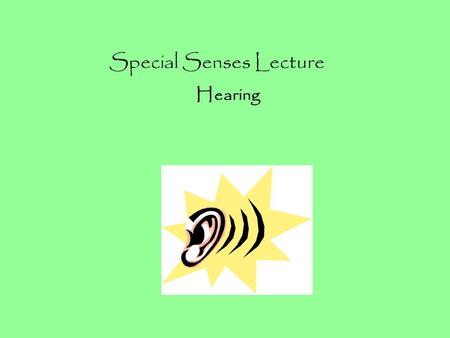Special Senses Lecture Hearing. Our ears actually serve two functions: 1)Allow us to hear 2)Maintain balance and equilibrium Hearing and balance work.