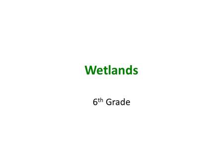 Wetlands 6th Grade.