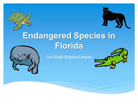 Endangered Species in Florida 1st Grade Science Lesson.