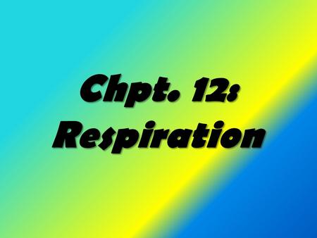 Chpt. 12: Respiration. Two types of respiration External Respiration Internal respiration -is the process by which - is the controlled organisms exchange.