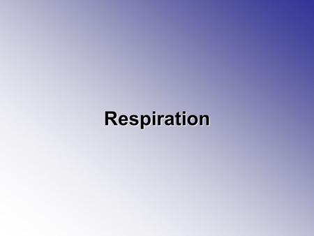 Respiration. Respiration Respiration the process by which food molecules are broken down –Food molecules are 6-carbons sugars –You take in food which.