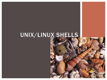 UNIX/LINUX SHELLS.  “A Unix shell is a command-line interpreter or shell that provides a traditional user interface for the Unix operating system and.