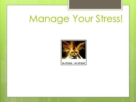 Manage Your Stress!. Stress Stress - the reaction of the body and mind to everyday challenges and demands.