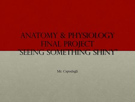 Anatomy & Physiology Final Project Seeing Something Shiny Mr. Capodagli.