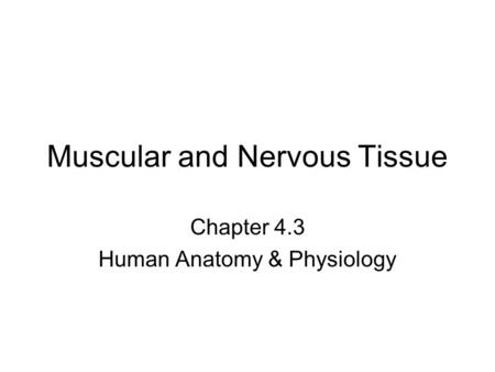 Muscular and Nervous Tissue Chapter 4.3 Human Anatomy & Physiology.