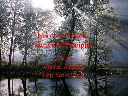 Nervous System: General Principles PA 544 Clinical Anatomy Tony Serino. Ph.D.